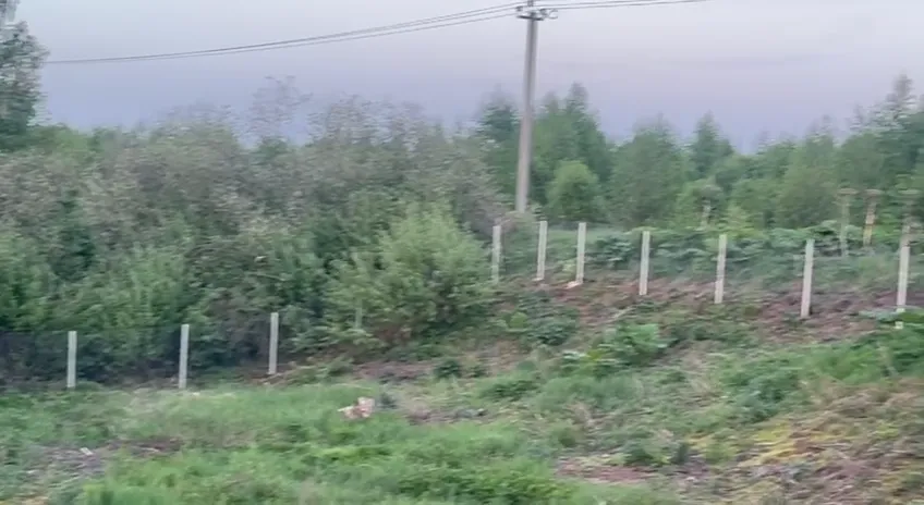 Установка забора из сетки-рабицы — Видео: Забор из рабицы на участке — видео
